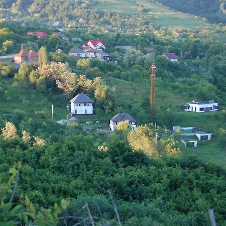 Cottage Poe Poienari Εξωτερικό φωτογραφία