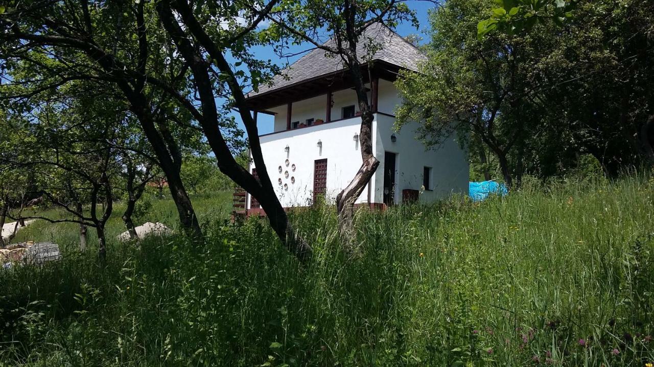 Cottage Poe Poienari Εξωτερικό φωτογραφία