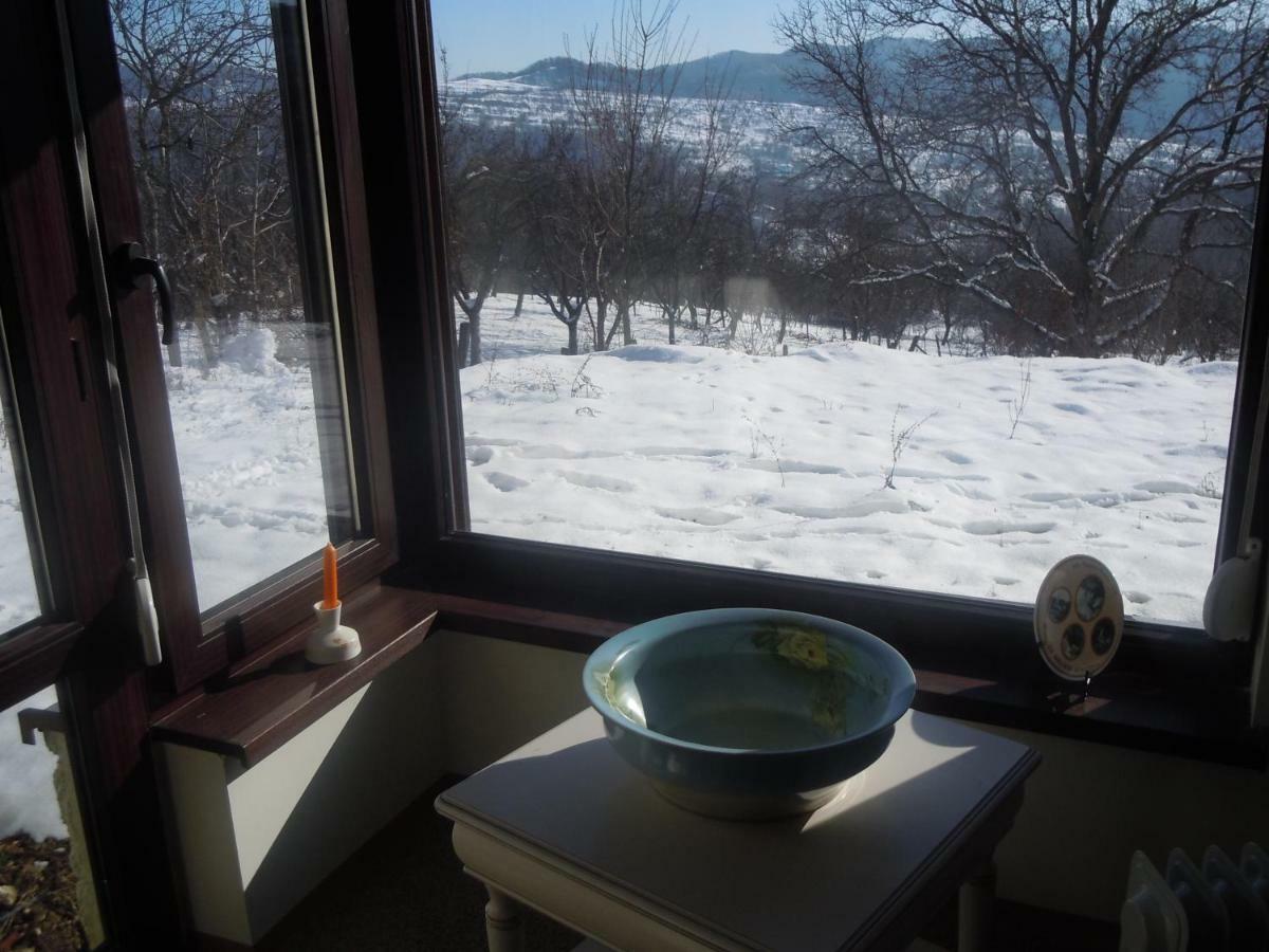Cottage Poe Poienari Εξωτερικό φωτογραφία