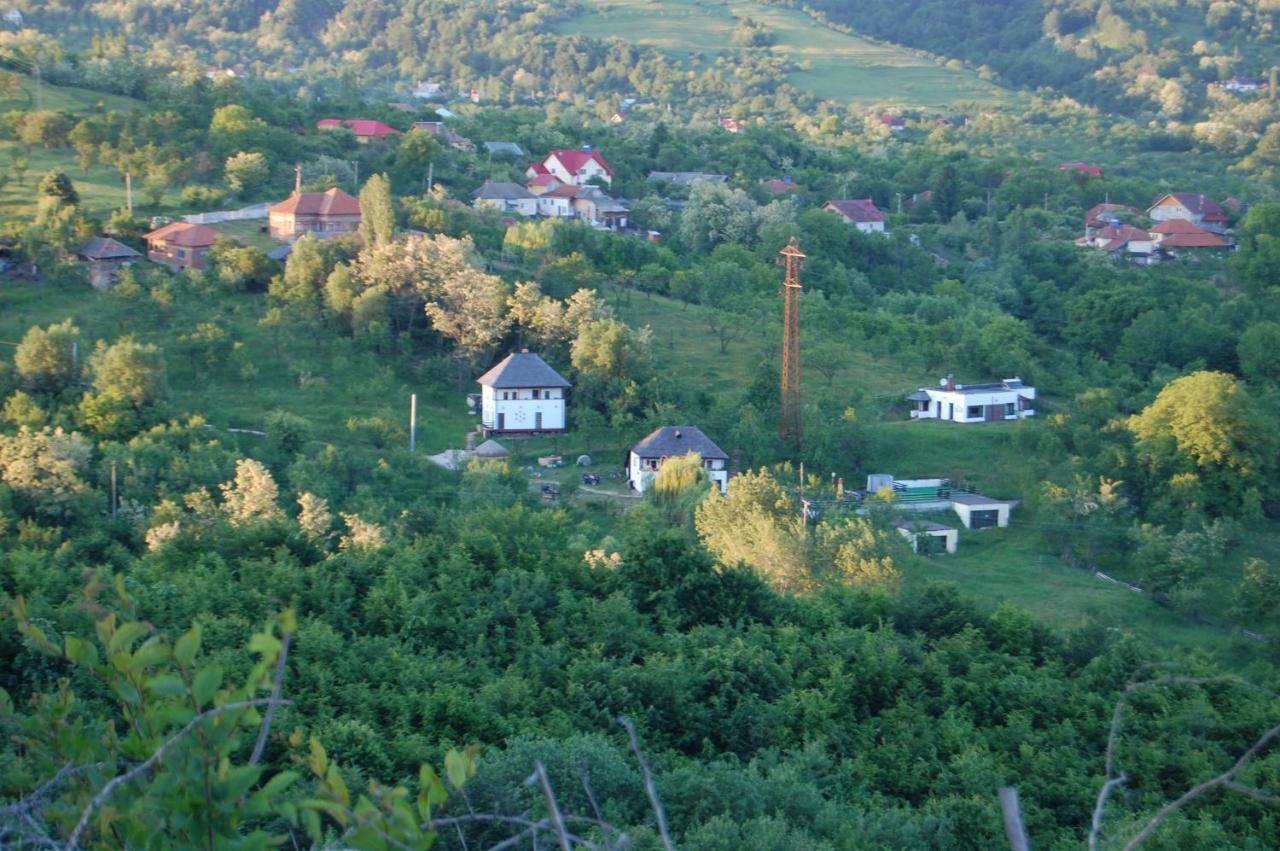 Cottage Poe Poienari Εξωτερικό φωτογραφία