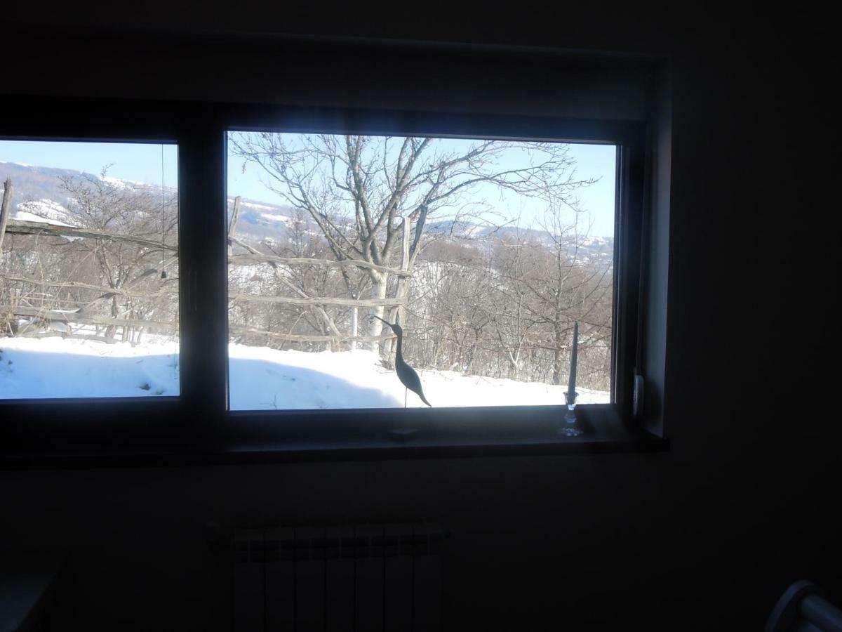 Cottage Poe Poienari Εξωτερικό φωτογραφία