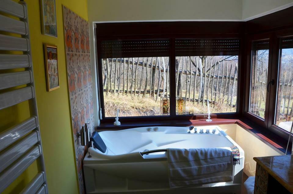 Cottage Poe Poienari Εξωτερικό φωτογραφία