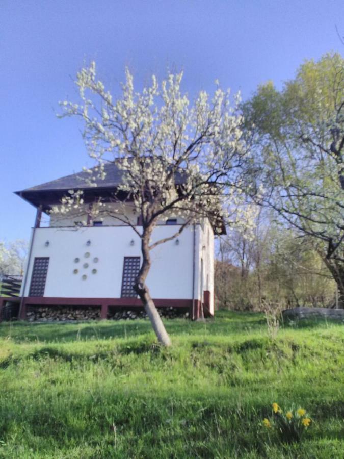 Cottage Poe Poienari Εξωτερικό φωτογραφία