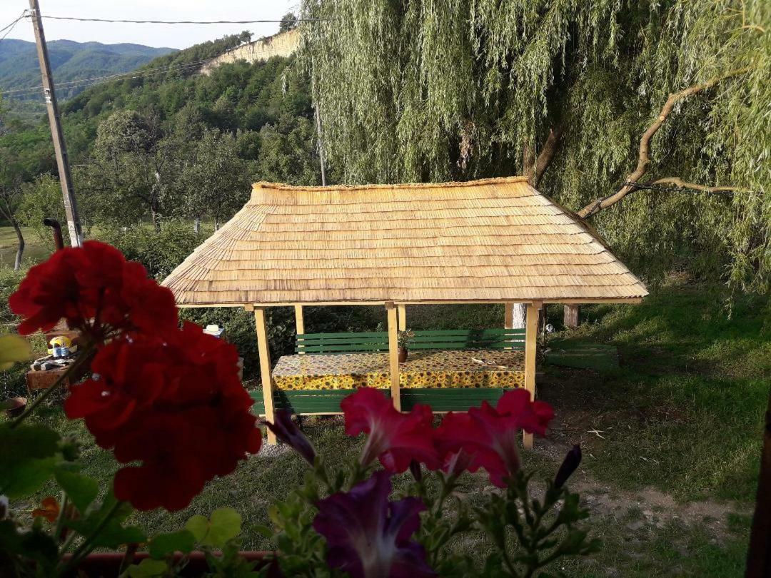 Cottage Poe Poienari Εξωτερικό φωτογραφία